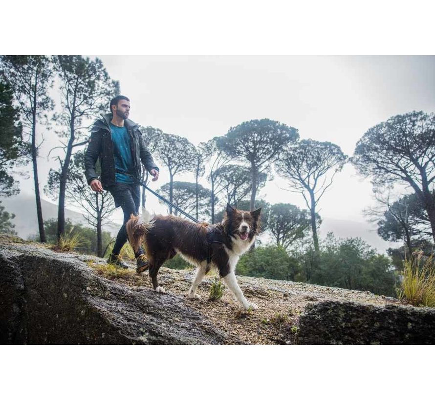 Hondentuig Airtech Sport Grijs