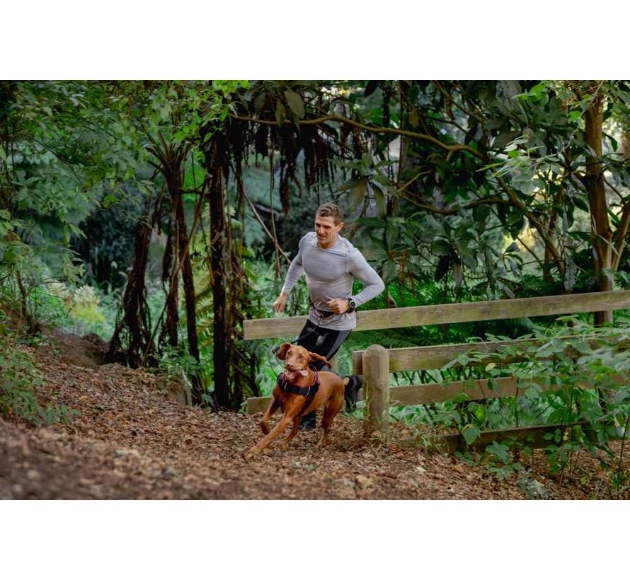 Dog Leash Handsfree Airtech Sport Red