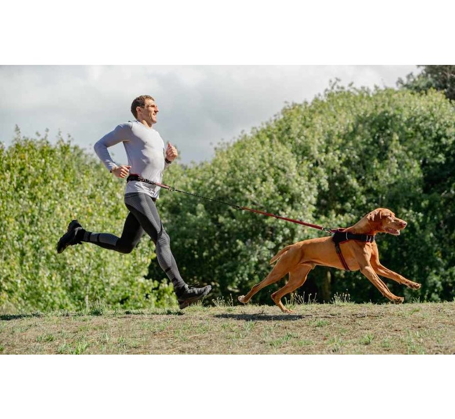 Dog Leash Handsfree Airtech Sport Red