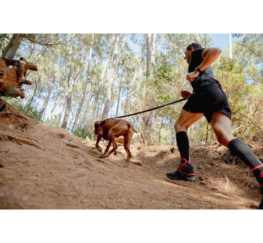 Dog Leash Handsfree Airtech Sport Red