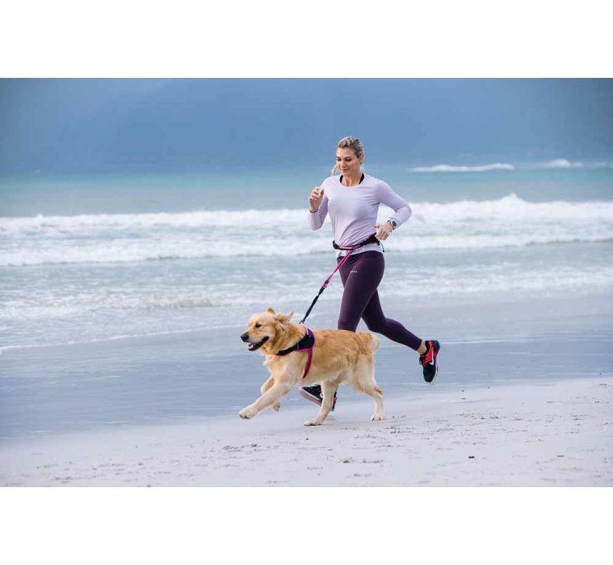 Dog Harness Airtech Sport Pink