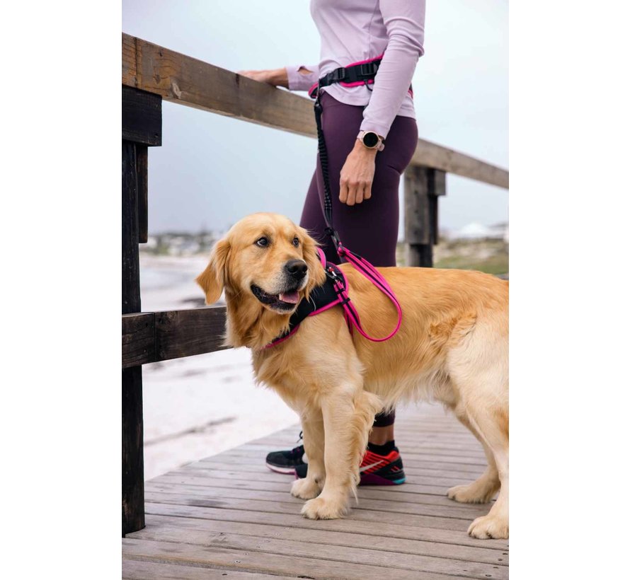 Dog Harness Airtech Sport Pink