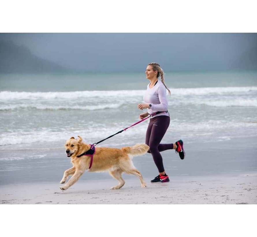 Dog Harness Airtech Sport Pink