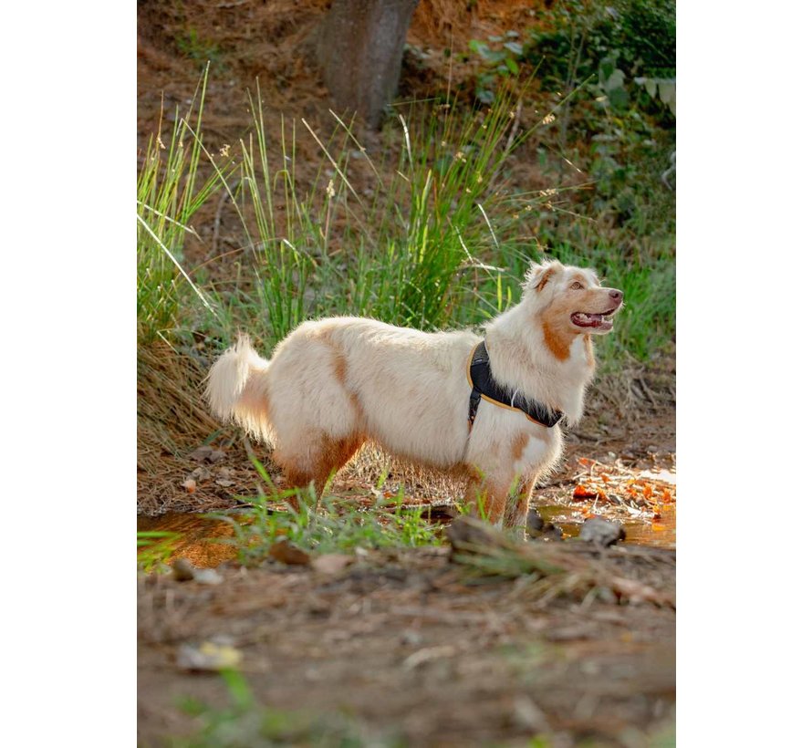 Hondentuig Airtech Sport Oker