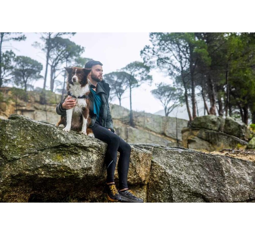 Dog Harness Airtech Sport Grey