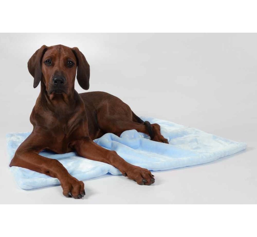 Dog Blanket Coco Blue