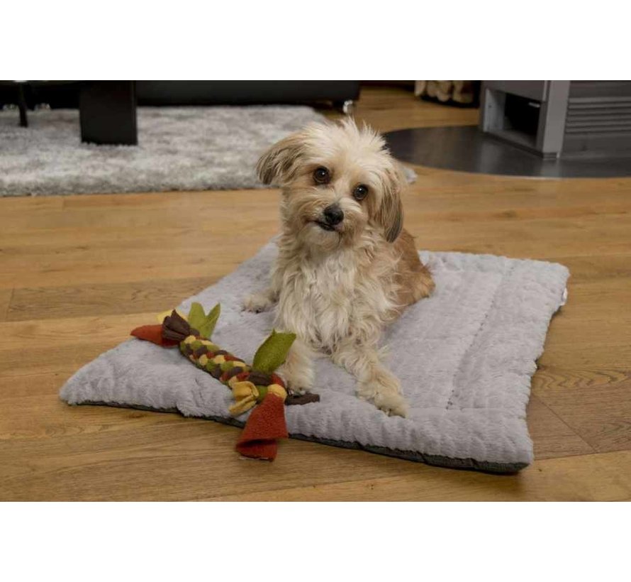 Dog Blanket Heaven Grey