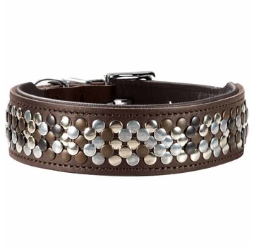 Hunter Dog Collar Arizona Up Brown