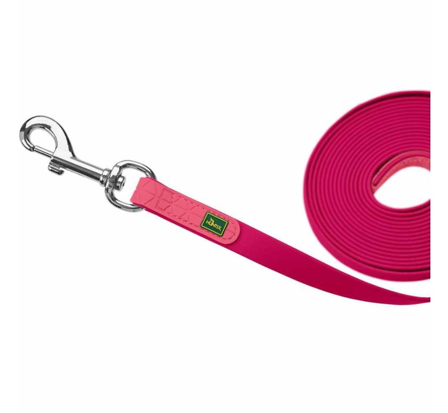 Tracking Leash Convenience Raspberry