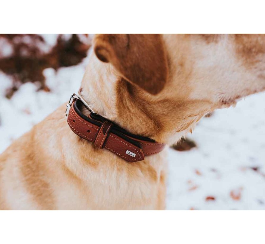 Dog Collar Canadian Up Cognac / Black