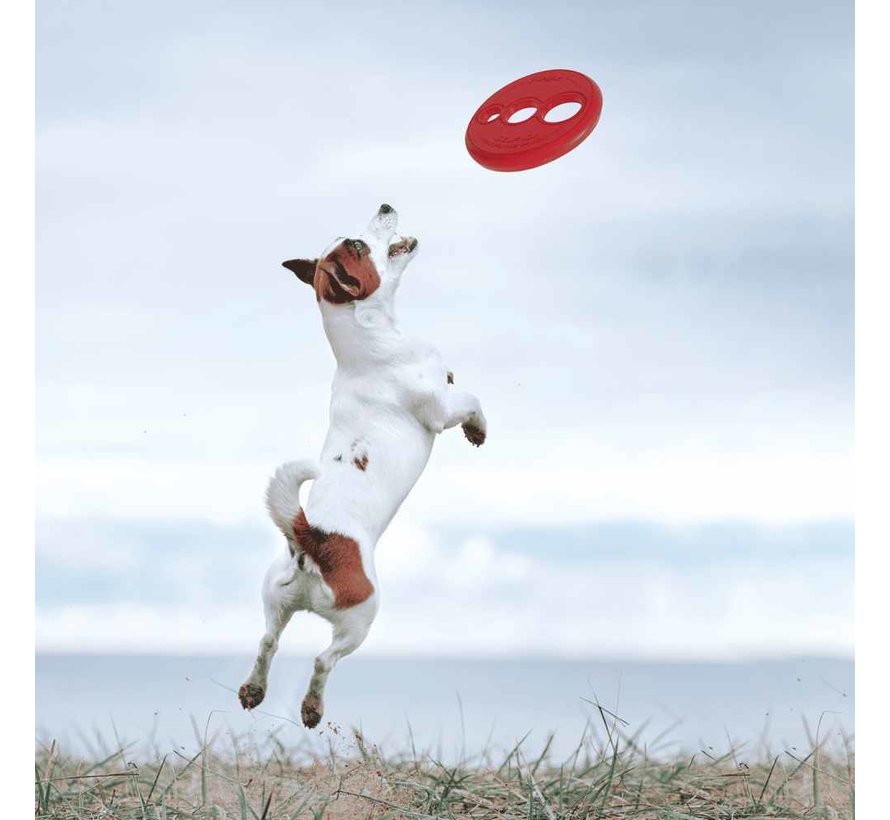 Dog Toy Flying Object Red