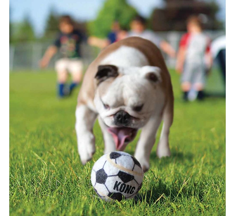 Dog Toy Signature Sport Balls