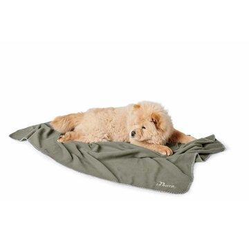 Hunter Dog Blanket Casper Green