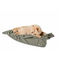 Dog Blanket Casper Green