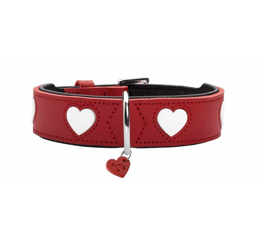 Dog Collar Love