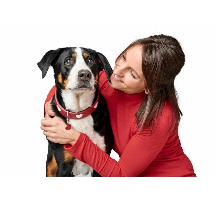Dog Collar Love Red