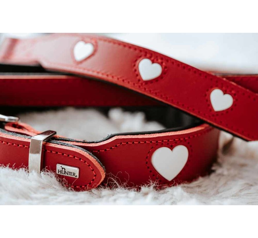 Dog Collar Love