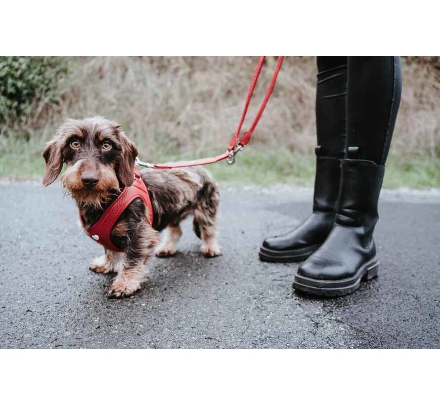 Dog Harness Love