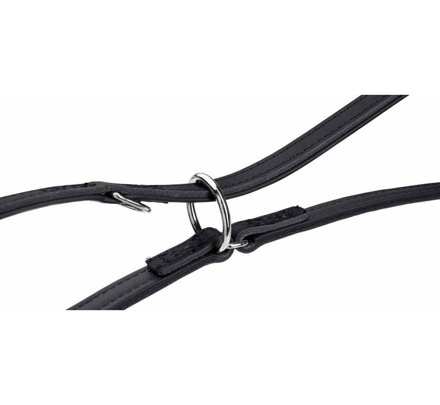 Dog Leash Arizona Up Black