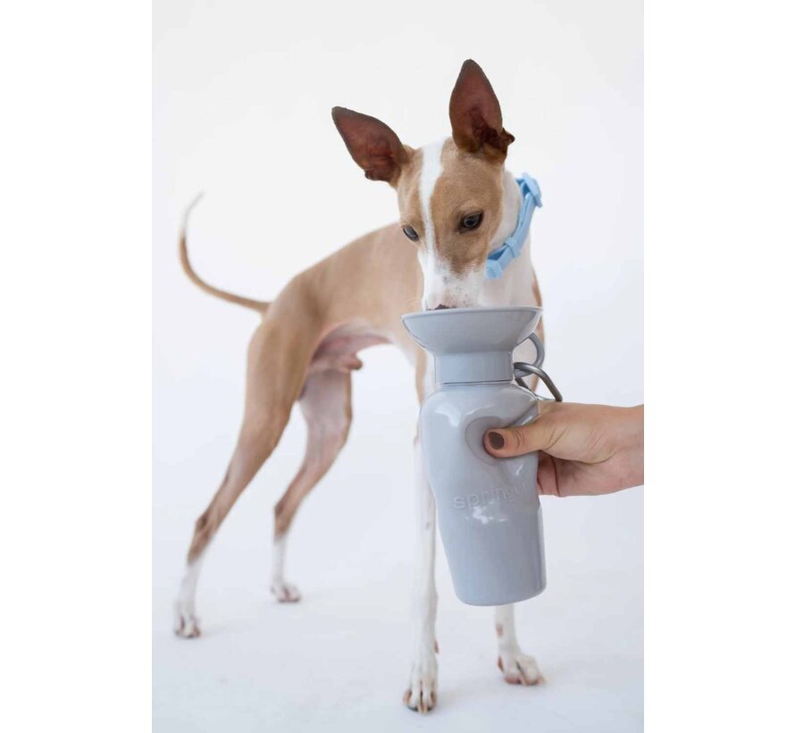 Dog Water Bottle Classic Grey