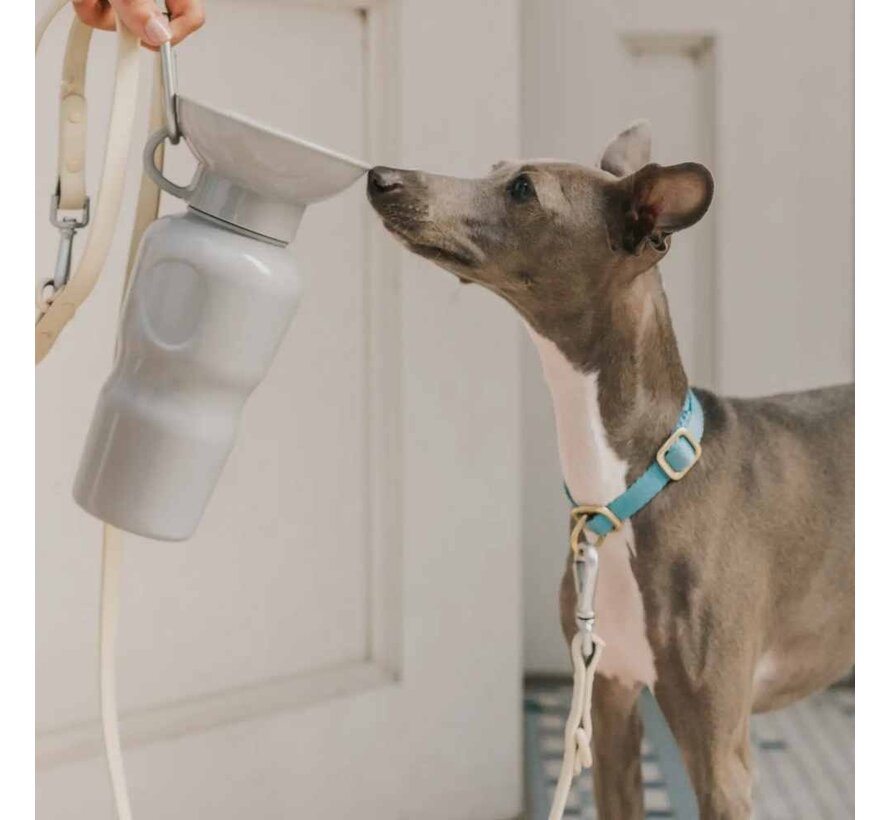 Drinkfles Hond Klassiek Grijs