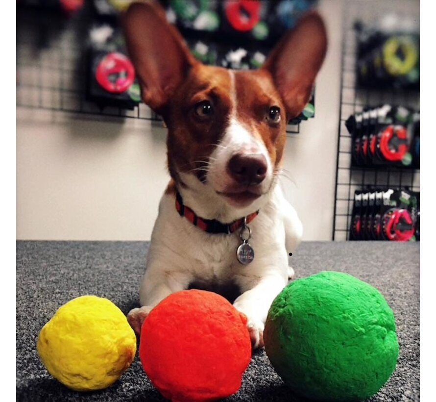 Dog Toy Wunderball