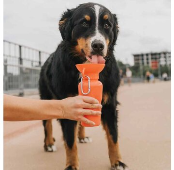 Springer Drinkfles Hond Klassiek Poppy