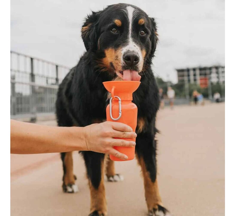 Drinking Bottle Dog Classic Poppy