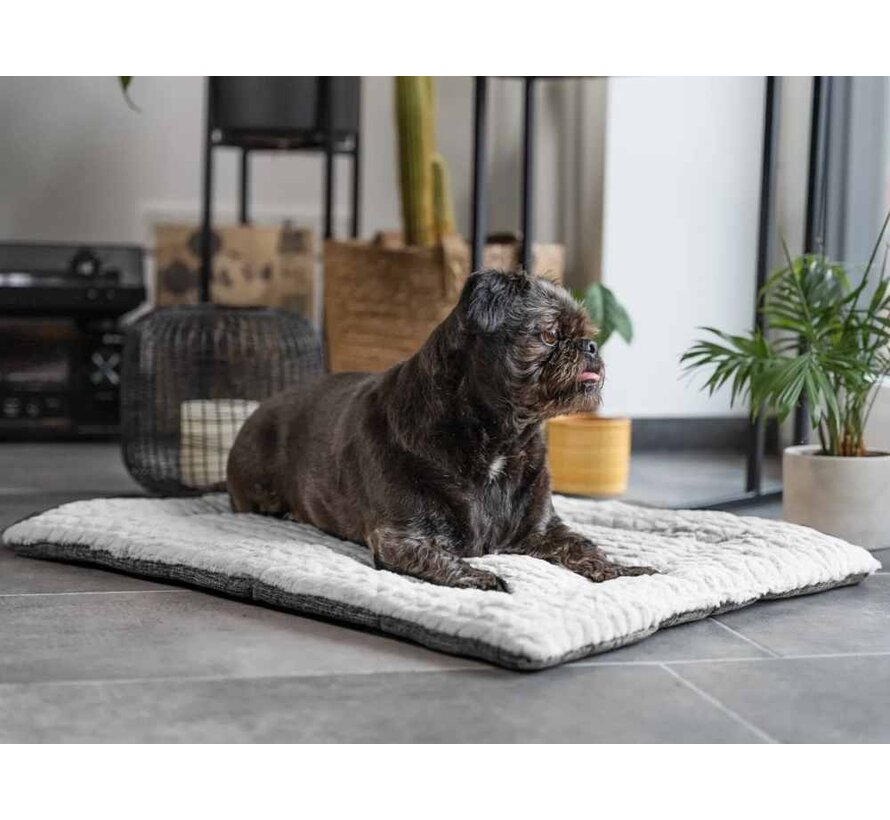 Hondendeken Heaven Grijs