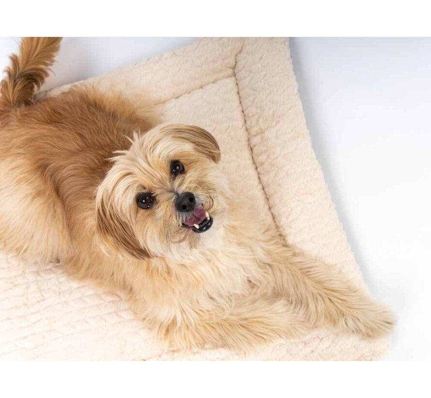 Dog Blanket Heaven Beige