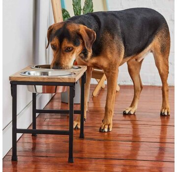 GF Pet Extra Elevated Pet Feeder