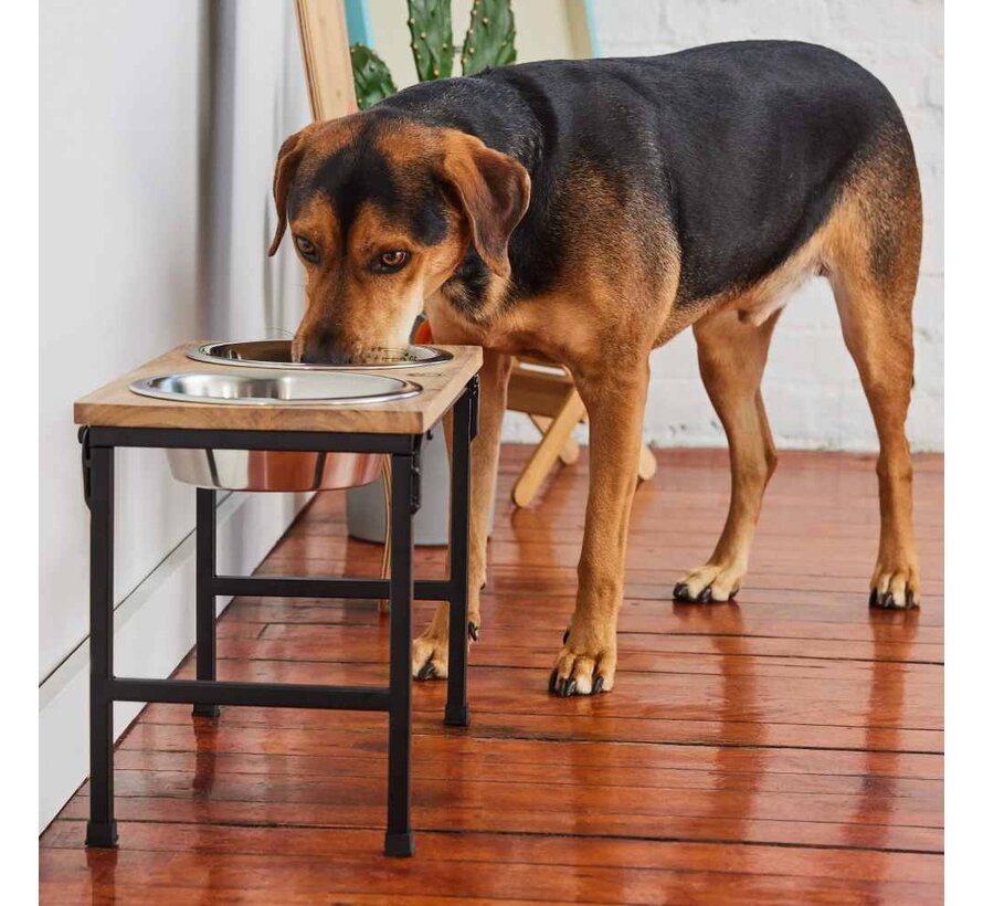 Extra Elevated Pet Feeder