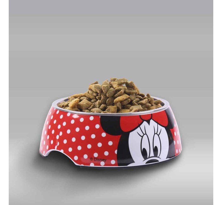 Minnie's Food Bowl
