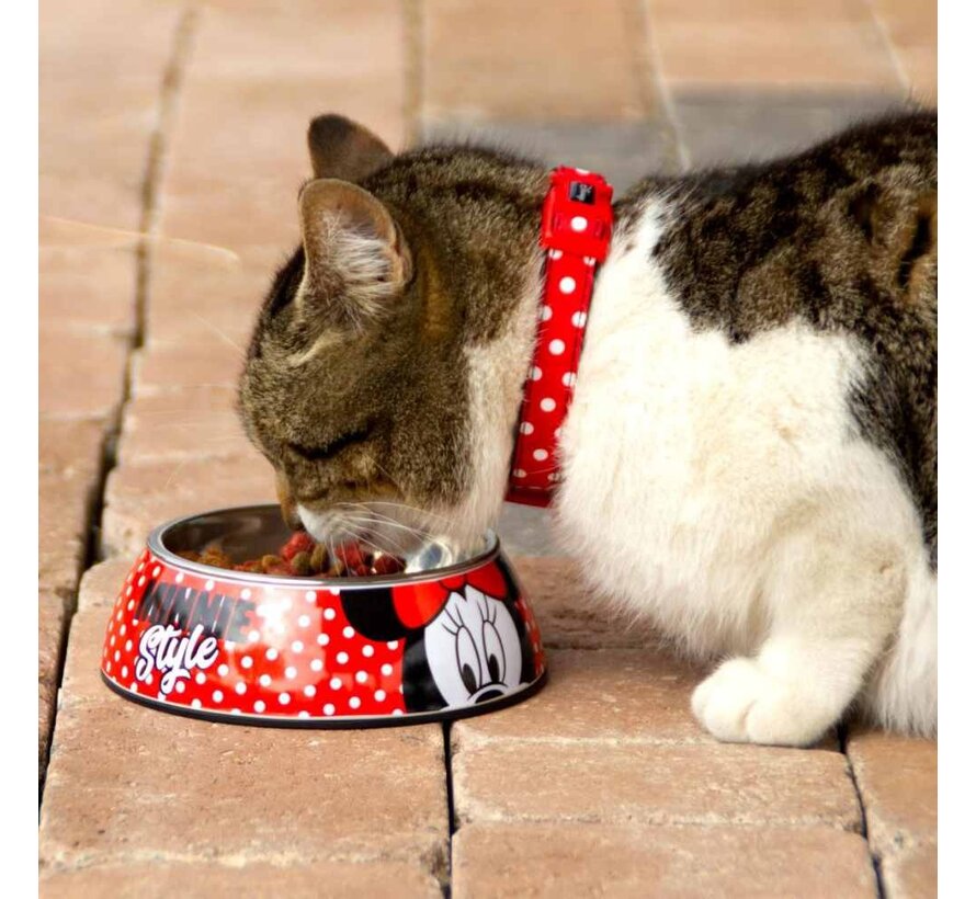 Minnie's Food Bowl