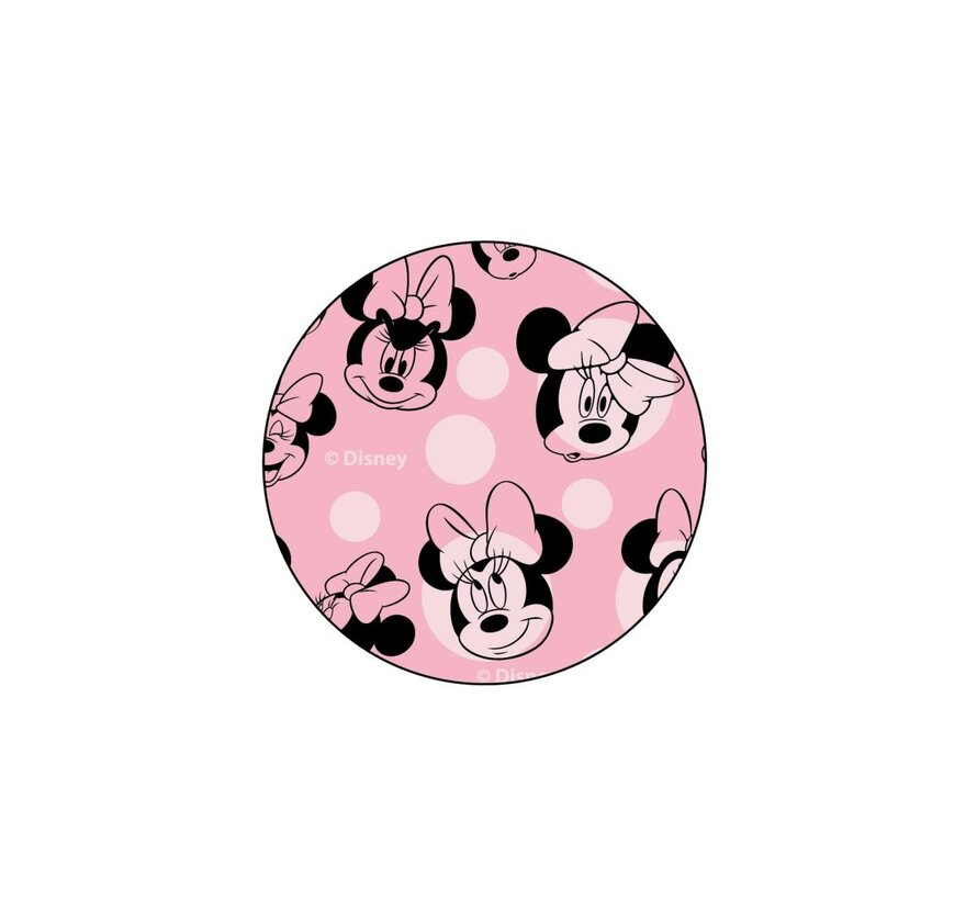 Dog Toy Ball Minnie