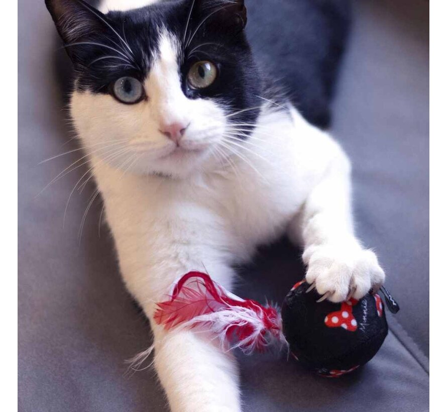 Cat Toy Balls Minnie