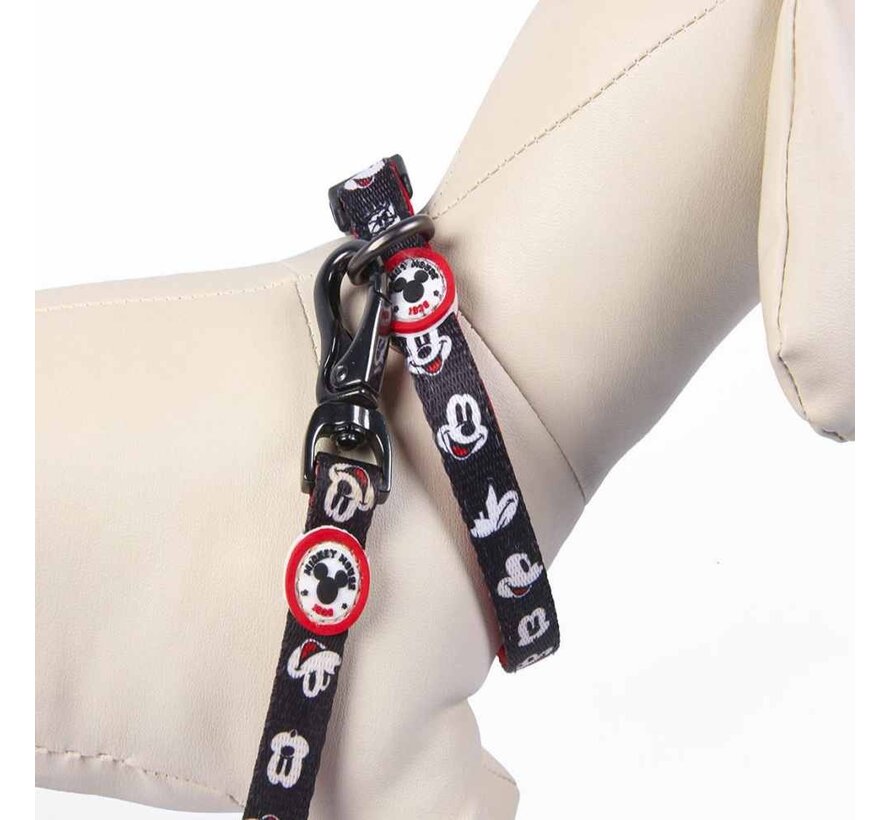 Dog Collar Mickey