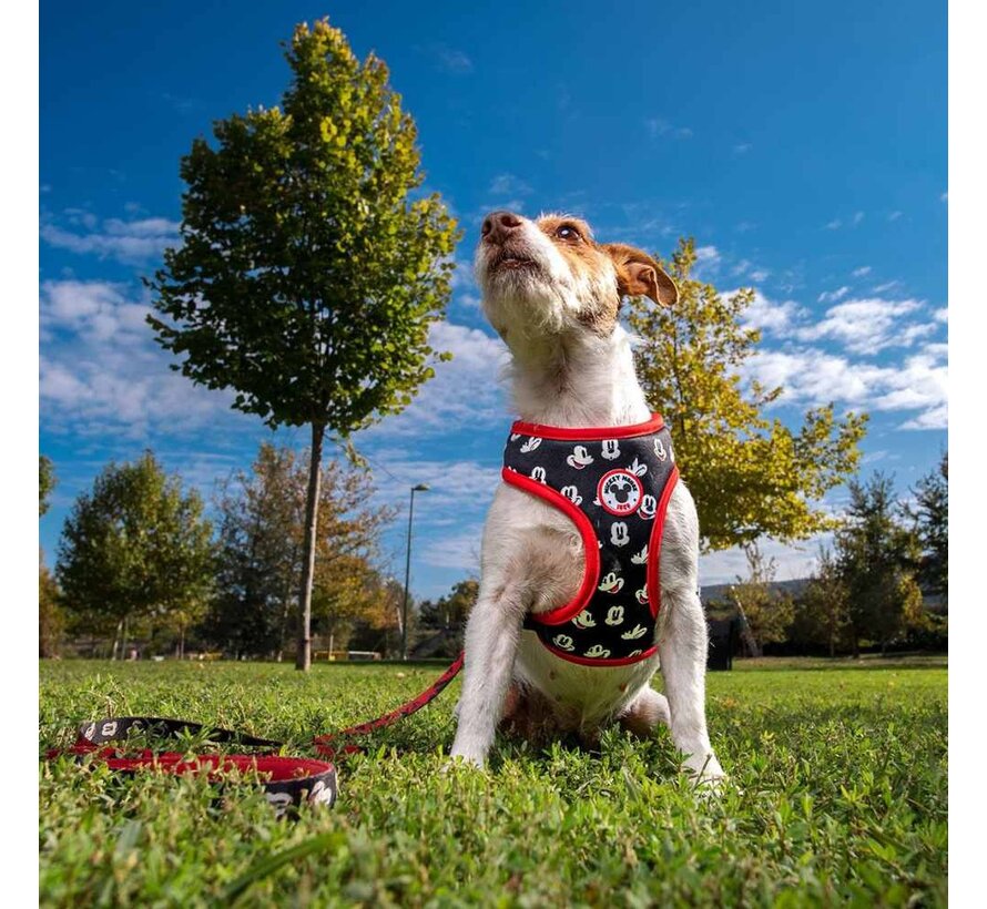 Dog Harness Mickey