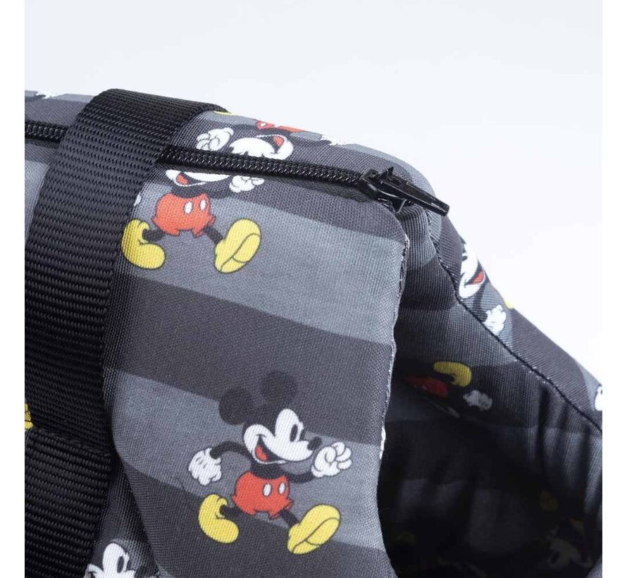 Dog Carrier Mickey