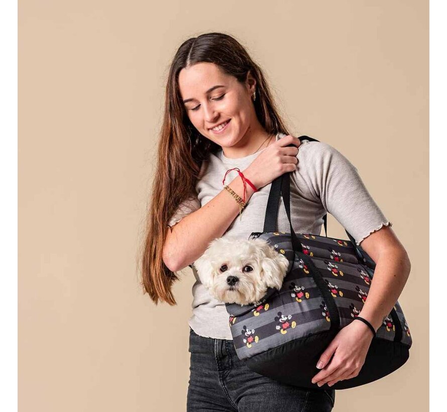 Dog Carrier Mickey