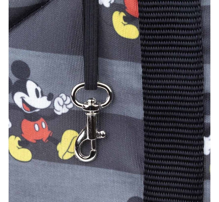 Dog Carrier Mickey