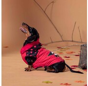 Disney Dog Coat Minnie