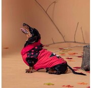Disney Minnie's Dog Coat