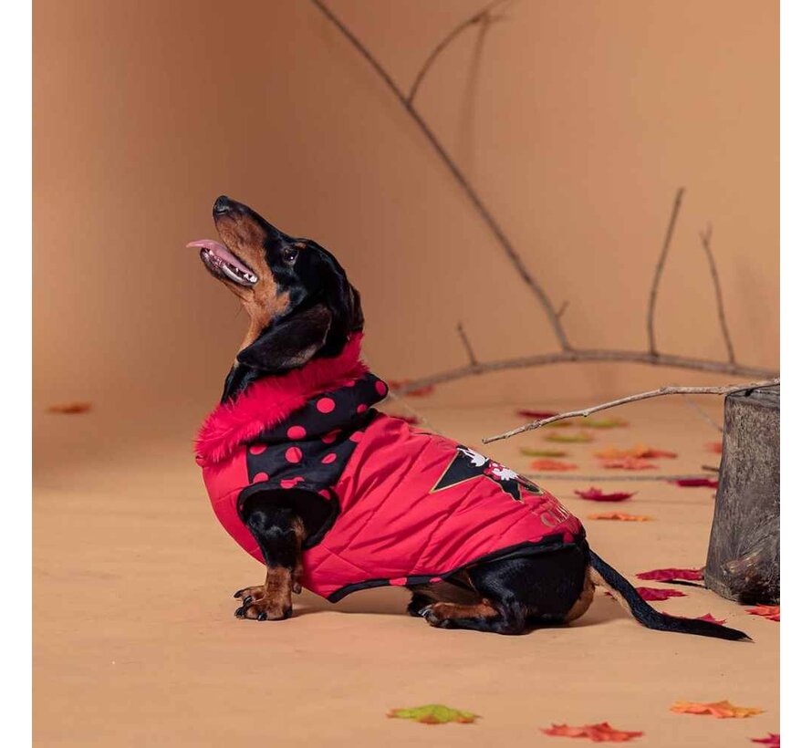 Minnie Mouse dog coat