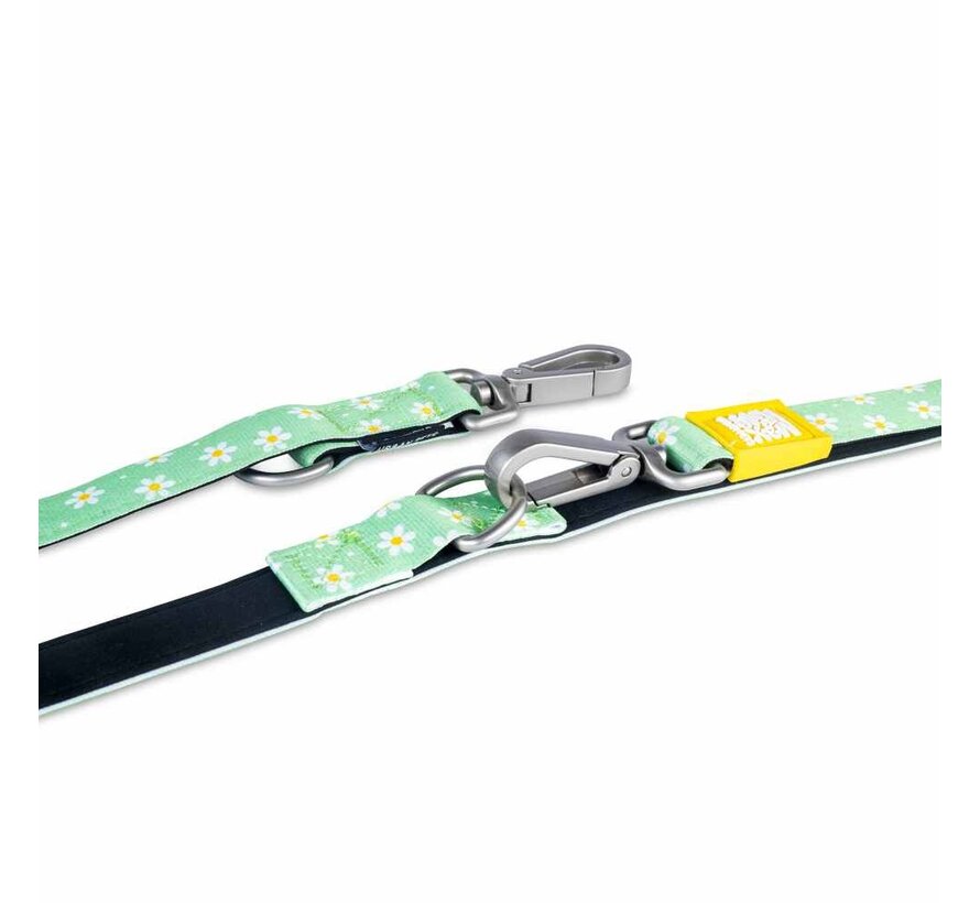 Dog Leash Multi Function Margarite