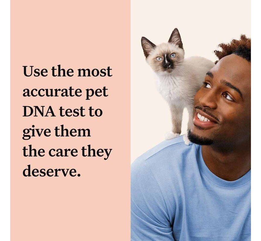 Essential DNA Test Cat