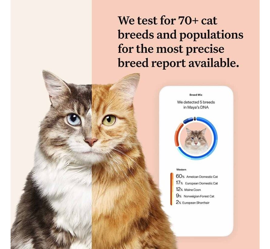 Essential DNA Test Cat