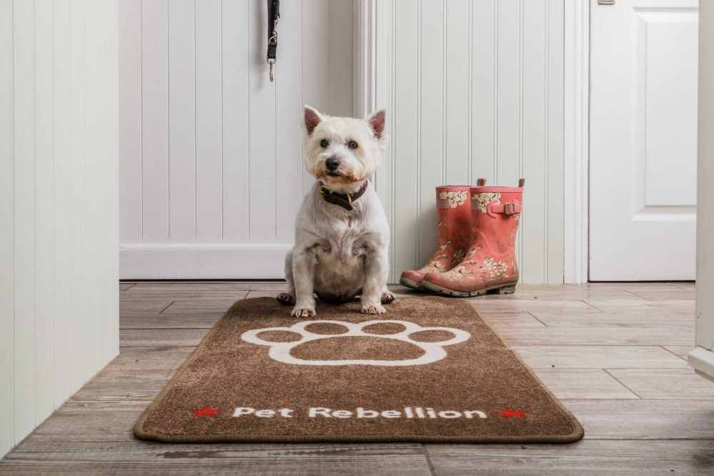 Pet Rebellion Barrier Rug Stop Muddy Paws Country - Petsonline