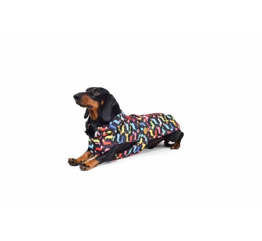 Dog Coat Dachshund Multi Colour