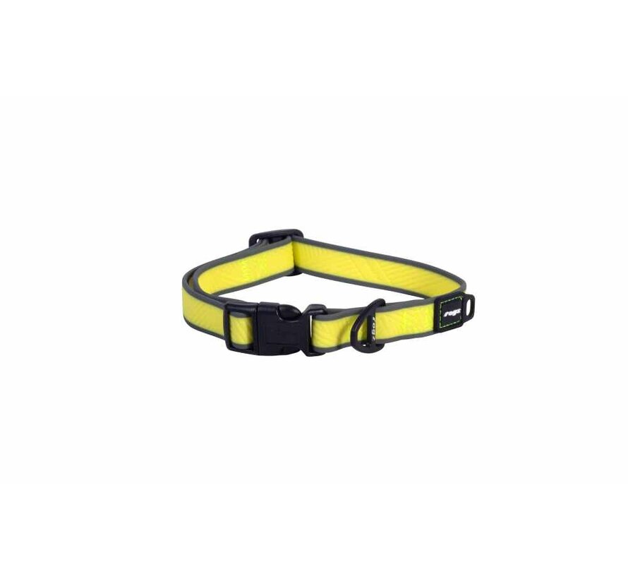 Dog Collar Amphibian Yellow